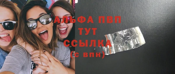 сатива Вяземский