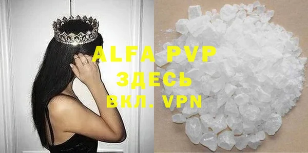 сатива Вяземский