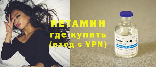 сатива Вяземский