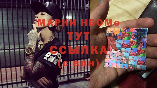 сатива Вяземский