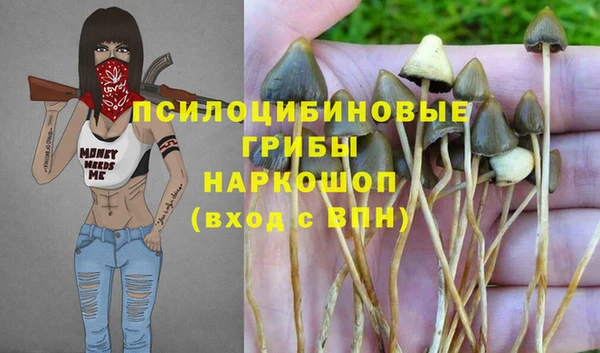 PSILOCYBIN Волоколамск