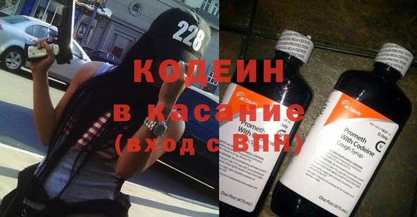 сатива Вяземский