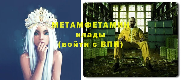 сатива Вяземский